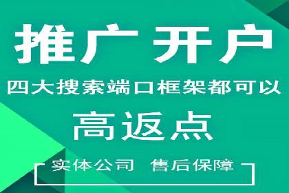 SEM托管服务案例解析：提升企业在线曝光